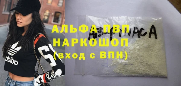 хмурый Арсеньев