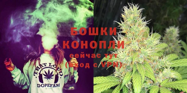 хмурый Арсеньев
