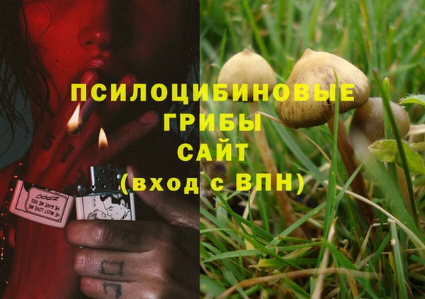 гидропоника Аркадак