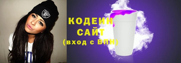 хмурый Арсеньев