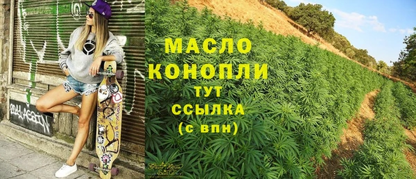 хмурый Арсеньев
