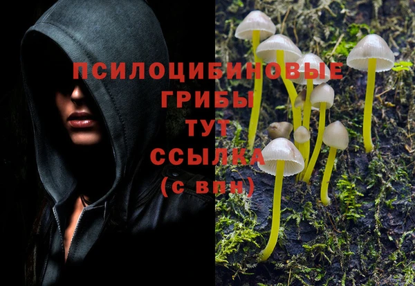 гидропоника Аркадак