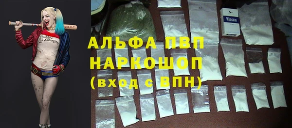 хмурый Арсеньев