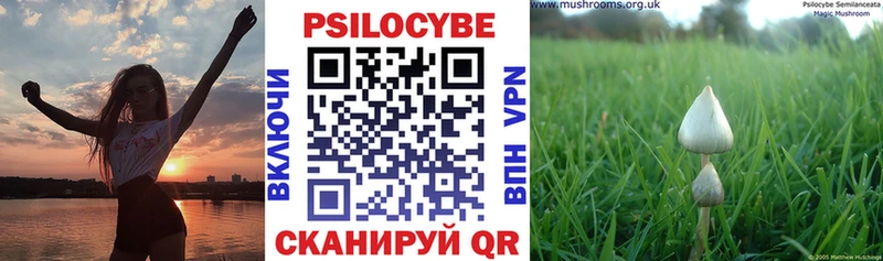 Галлюциногенные грибы мухоморы  mega сайт  Краснослободск 